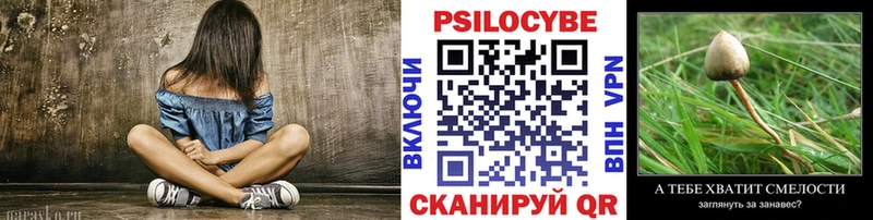 Галлюциногенные грибы Psilocybe  Балашов 