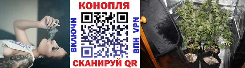 купить наркотик  Балашов  блэк спрут ТОР  МАРИХУАНА марихуана 